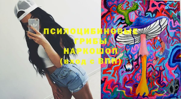 соль ск Бронницы