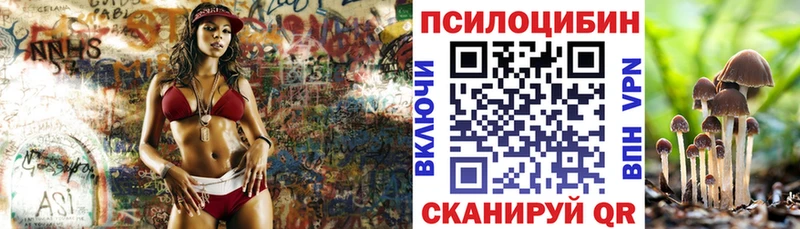 MEGA ссылка  где купить   Махачкала  Галлюциногенные грибы Cubensis 